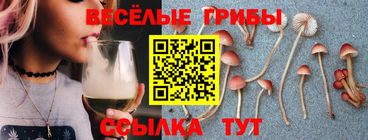 Псилоцибиновые грибы мухоморы  Вход с VPN  Галлюциногенные грибы ЛСД  магазин    Курганинск 