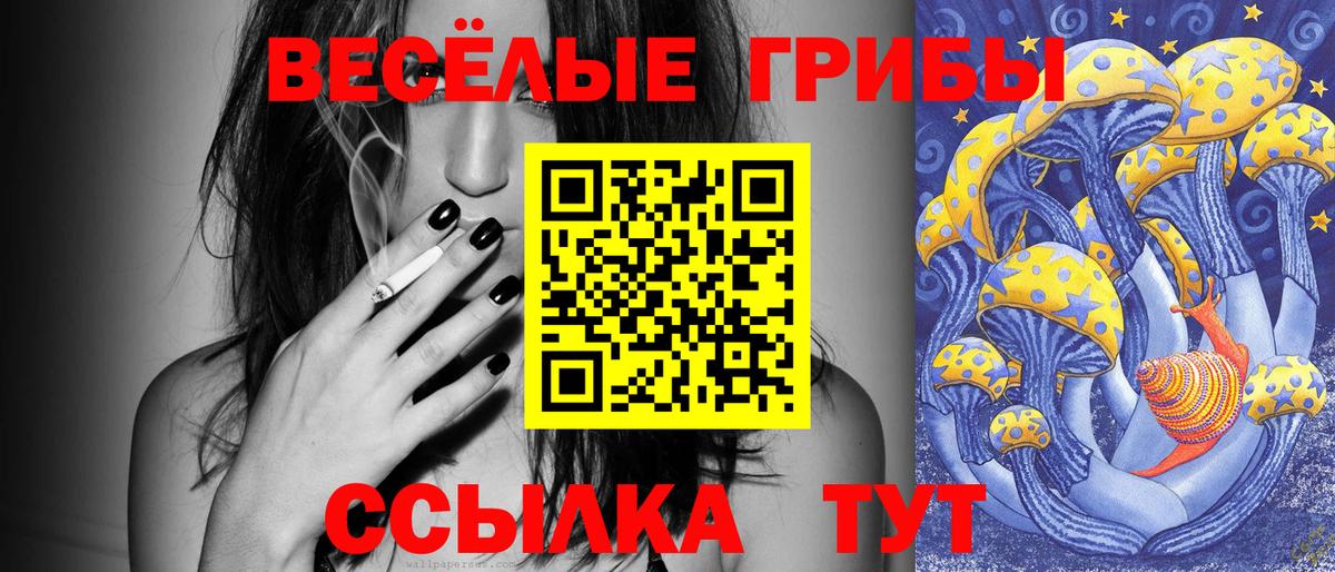 Галлюциногенные грибы MAGIC MUSHROOMS Курганинск